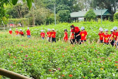 ẢNH HOẠT ĐỘNG NGOẠI KHÓA KHU DU LỊCH SINH THÁI NÚI NGĂM KHỐI 5 TUỔI NĂM HỌC 2025-2026