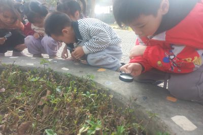 DỰ ÁN STEAM CON KIẾN – LỚP 5 TUỔI C