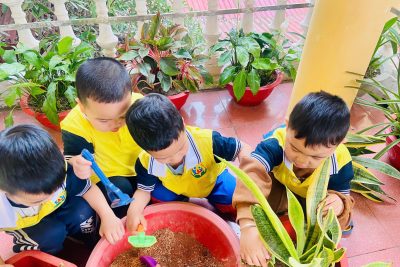 🌱🌿 TẾT TRỒNG CÂY CỦA LỚP 3TA 1🌿🌱
