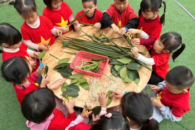 Dự án steam: Làm các con vật từ lá cây- Khối 4 tuổi